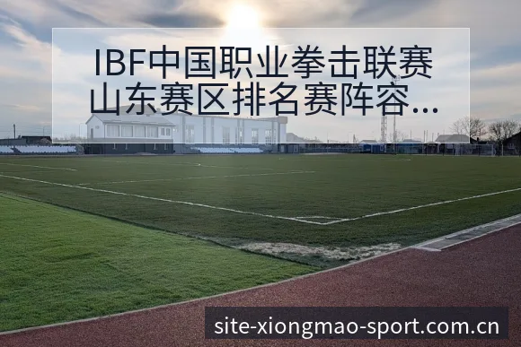 IBF中国职业拳击联赛山东赛区排名赛阵容调整对战术价值 - 熊猫体育官网